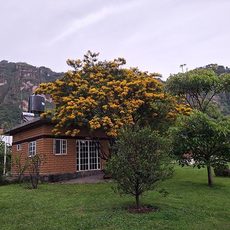 Posada Meztitla تيبوزتلان المظهر الخارجي الصورة